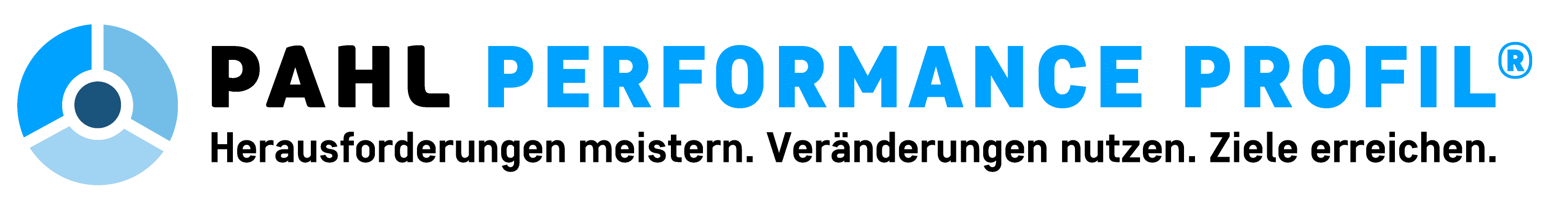 PAHL-Performance-Profil_Logo